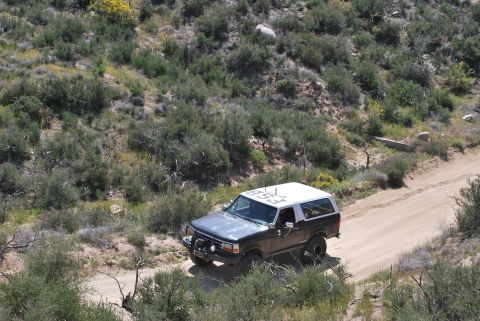 1996 Ford Bronco - This 1996 Ford Bronco navigates a dusty trail surrounded by arid vegetation.
