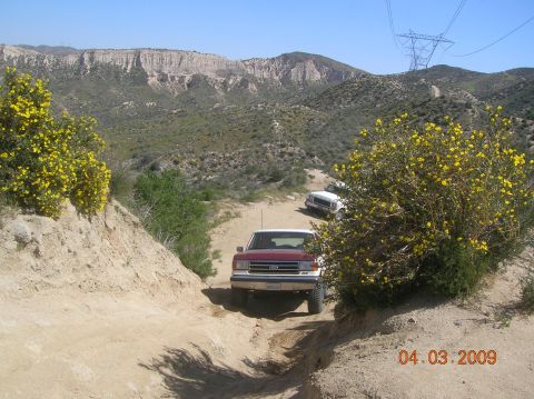 1985 Ford Bronco - A red and white Ford Bronco navigates a dusty trail, with another white SUV following behind, surrounded by desert landscape and blooming y…