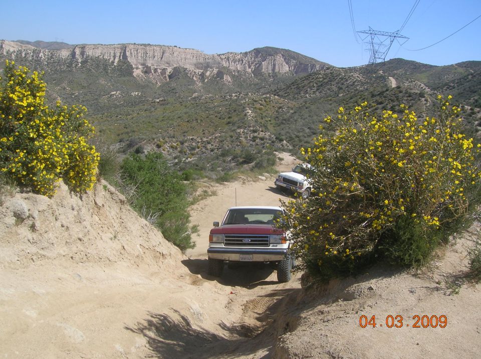 Red and white 1987 Ford Bronco on a dirt road with yellow wildflowers