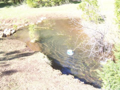 1994 Ford F-150 - A pond with a bucket floating in the water, surrounded by natural landscape.