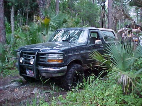 1995 Ford Bronco - This is me waiting somewhere on the stump trail