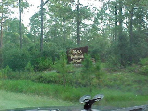 1995 Ford Bronco - The Ocala National Forrest sign. Ok, so i was bored on one of the drives into Palatka...