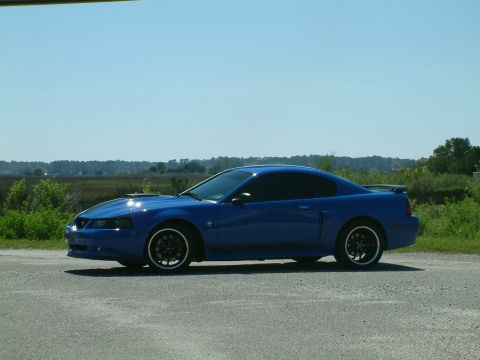 1992 Ford Bronco - A blue Ford Mustang coupe is parked on the side of a road with a natural landscape in the background under a clear blue sky.