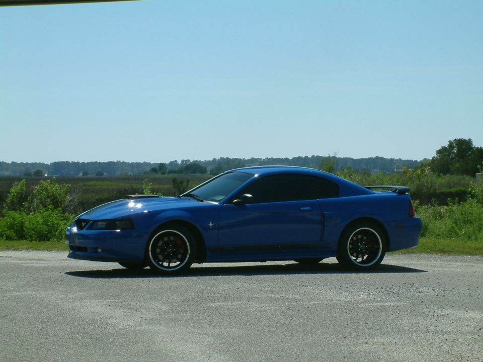 Blue Ford Mustang coupe parked on the side of a road.
