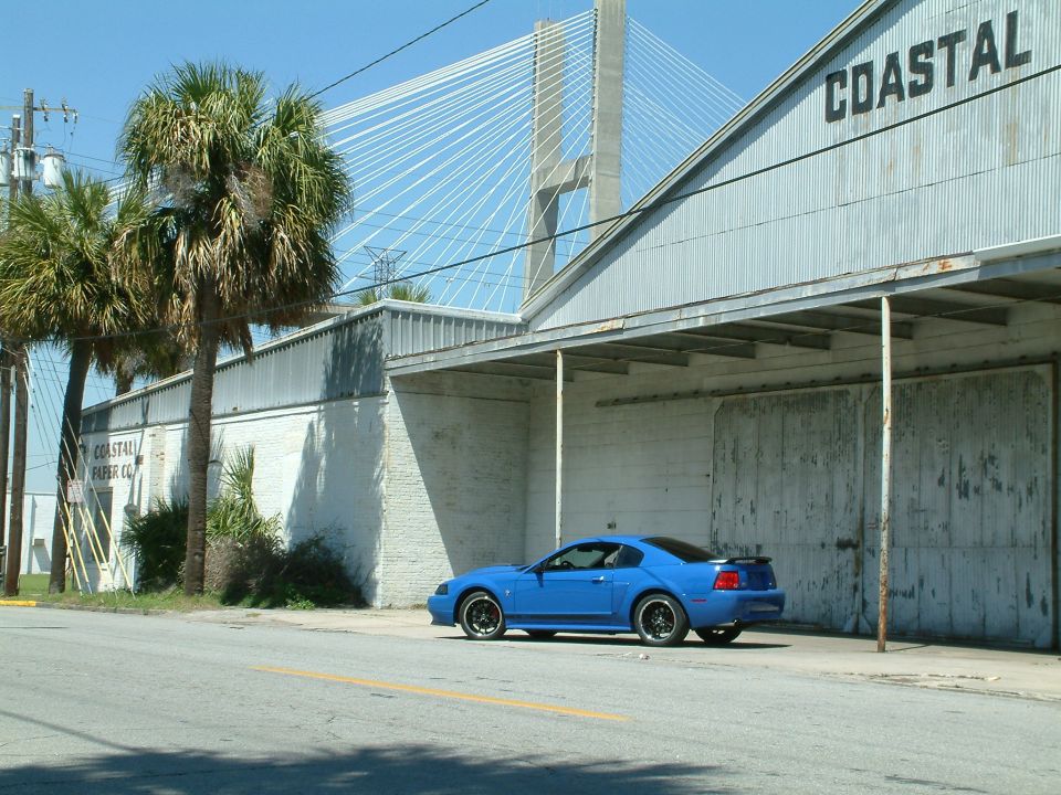 Blue Ford Mustang parked in front of a building with "COASTAL" signage.