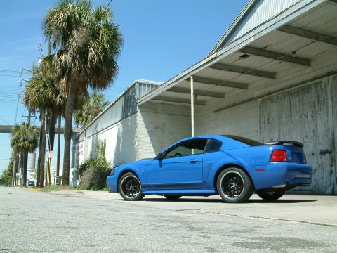1992 Ford Bronco - A bright blue Ford Mustang coupe is parked next to a weathered industrial building with a corrugated metal roof and siding. Tall palm trees…