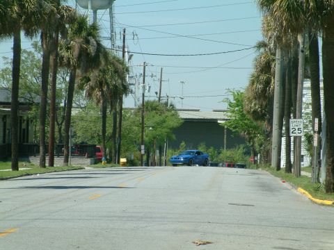 1992 Ford Bronco - A blue Ford Mustang is parked on the side of a street lined with palm trees. A speed limit sign showing 25 is visible on a pole.
