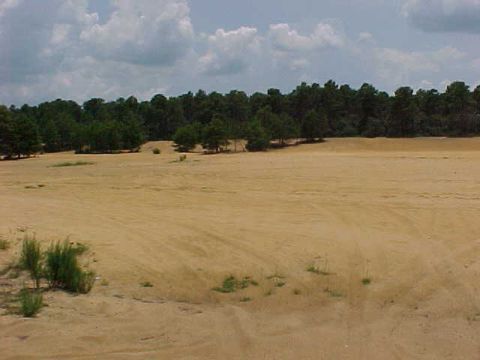 1995 Ford Bronco - One of the sand pits...