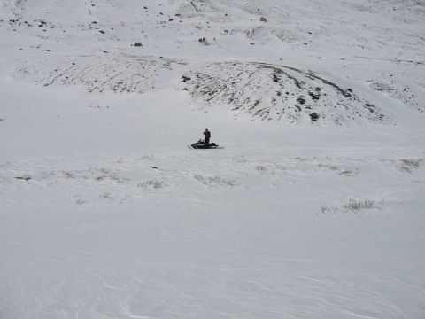 1999 Arctic Cat Powder Special 600 EFI “Pickle”