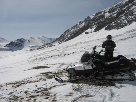 1999 Arctic Cat Powder Special 600 EFI “Pickle”