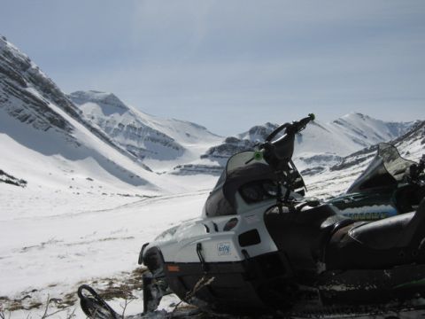 1999 Arctic Cat Powder Special 600 EFI “Pickle”