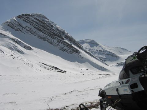 1999 Arctic Cat Powder Special 600 EFI “Pickle”