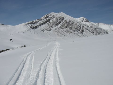 1999 Arctic Cat Powder Special 600 EFI “Pickle”
