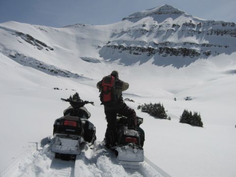 1999 Arctic Cat Powder Special 600 EFI “Pickle”