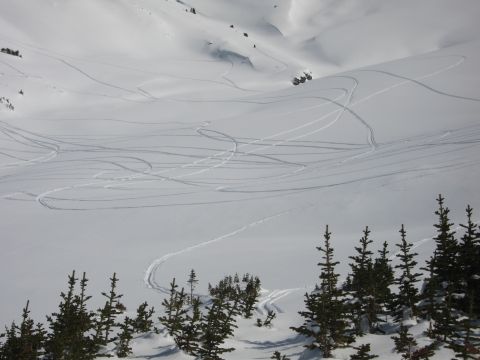 1999 Arctic Cat Powder Special 600 EFI photo