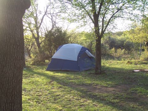 2004 Aston Martin Virage - A blue and gray tent is set up in a campsite surrounded by trees and green grass.