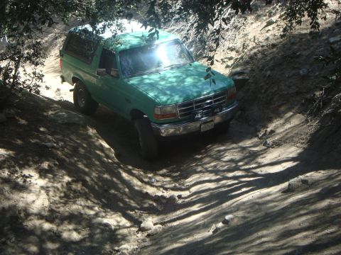 1986 Ford Bronco - A teal Ford Bronco is driving on a dirt path with trees overhead casting shadows. The vehicle is angled towards the left, showing its front…