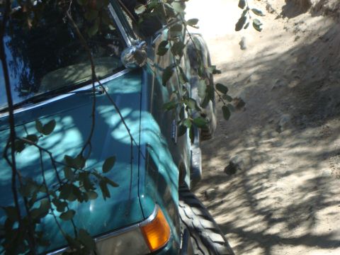 1986 Ford Bronco - A close-up, high-angle view of the driver's side of a teal-colored SUV parked on a dirt road. Branches and leaves obscure parts of the vehi…