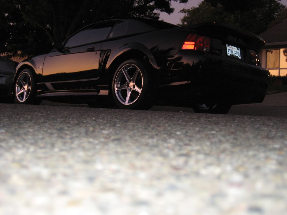 Black Ford Mustang rear passenger side view, low angle, aftermarket wheels, spoiler, license plate.