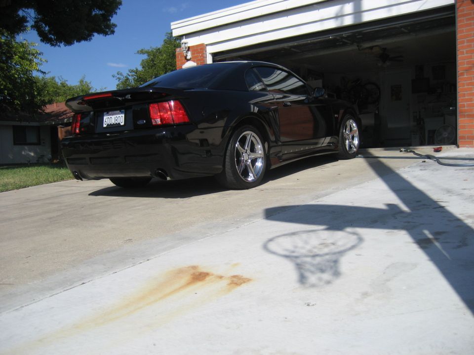Black Ford Mustang parked in a driveway, rear view.