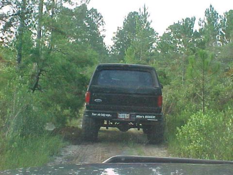 1995 Ford Bronco - Shane on the trail