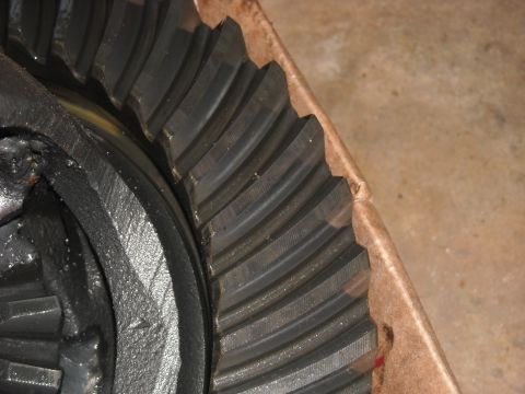 1979 Ford F-150 - Differential ring gear and pinion gear teeth shown in detail.