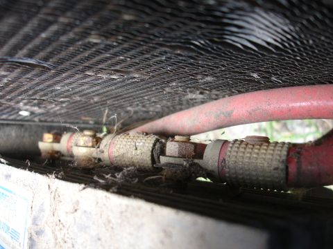 1989 Ford Taurus - Close-up of dirty radiator hoses with metal connectors and red banding under a black mesh grille.