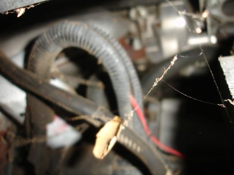 1989 Ford Taurus - Close-up view of an engine compartment showing hoses and wiring, with prominent cobwebs.