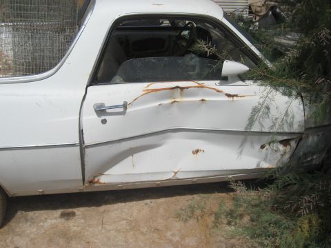 1973 Ford Ranchero - A damaged white Ford Ranchero, likely a 1972 model, sits partially obscured by foliage.