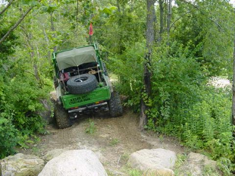 1992 Ford Bronco - Off-road vehicle navigates a wooded trail with a spare tire visible on the rear.