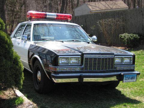 1991 Ford LTD Crown Victoria - black-and-white police sedan with a red roof light bar parked on a lawn by a fence, with plate reading 224-WNV.