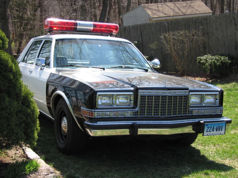 Black and white police sedan with red light bar parked on grass, plate 224-WNV