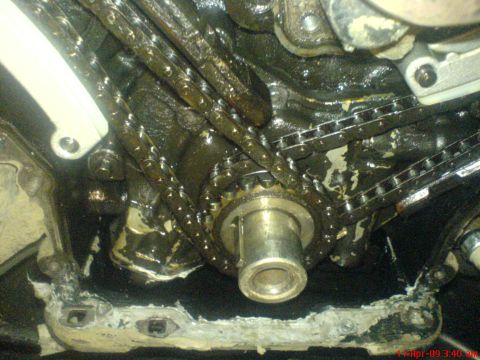 1992 Ford Crown Victoria - Close-up view of engine timing chains and gears, showing significant oil accumulation.