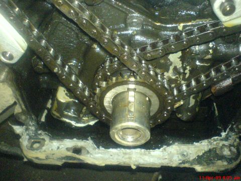 1992 Ford Crown Victoria - Engine timing chain and sprocket assembly, showing wear and oil accumulation.