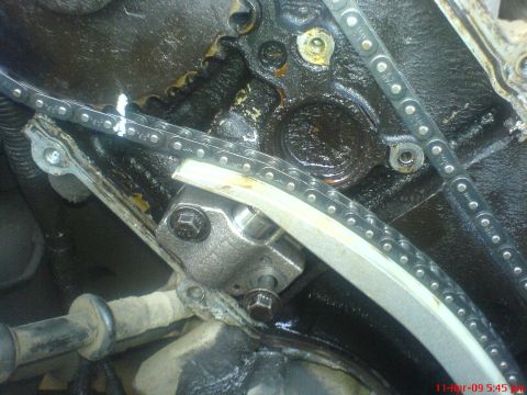 1992 Ford Crown Victoria - Engine timing chain and tensioner assembly detail.