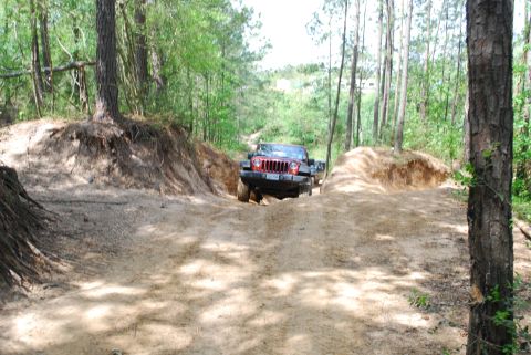 2008 Jeep Wrangler - A red Jeep Wrangler navigates a sandy trail surrounded by trees.