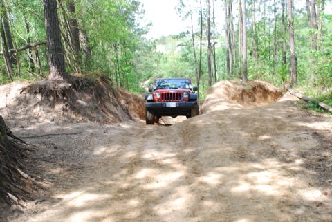 2008 Jeep Wrangler - A red 2007 Jeep Wrangler navigates a sandy path surrounded by trees.
