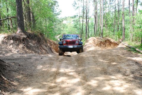 2008 Jeep Wrangler - Red Jeep Wrangler navigates a dirt path in a forest setting.