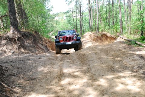 2008 Jeep Wrangler - A red Jeep Wrangler navigates a challenging dirt path through a forest.