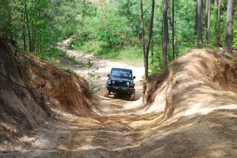 2008 Jeep Wrangler - A black Jeep Wrangler navigates a challenging dirt trail surrounded by trees.