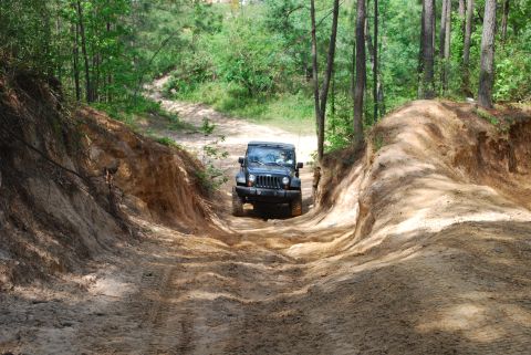 2008 Jeep Wrangler - A black Jeep Wrangler navigates a sandy, rutted path surrounded by trees.