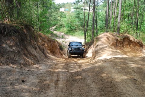 2008 Jeep Wrangler - A Jeep navigates a challenging off-road course with steep, sandy inclines and dense woods.
