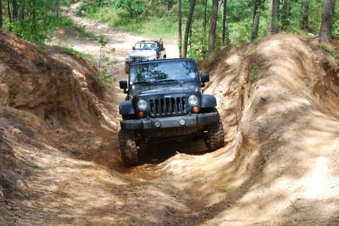 2008 Jeep Wrangler - Two Jeep Wranglers navigate a challenging dirt path through a wooded area.