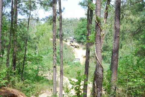 2008 Jeep Wrangler - Multiple off-road vehicles navigate a steep, winding dirt trail through a dense forest.