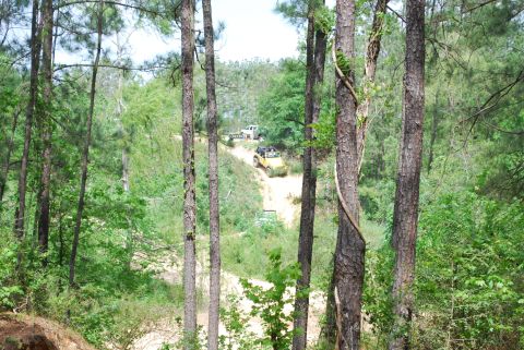 2008 Jeep Wrangler - Two off-road vehicles navigate a sandy incline amidst a dense forest.