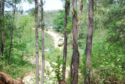 2008 Jeep Wrangler - Multiple off-road vehicles navigate a winding dirt path surrounded by dense forest foliage.