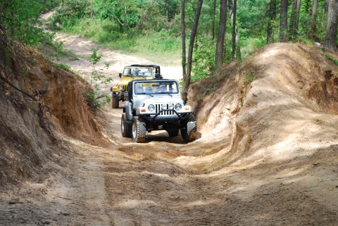 2008 Jeep Wrangler - Two Jeep Wranglers navigate a challenging dirt path through a wooded area.
