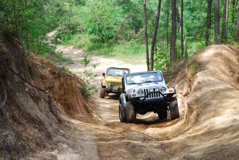 2008 Jeep Wrangler - Two Jeep Wranglers navigate a challenging dirt path surrounded by trees and sandy embankments.