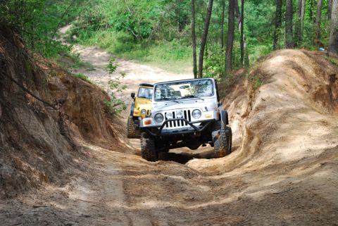 2008 Jeep Wrangler - Two Jeep Wranglers navigate a sandy off-road trail surrounded by trees.