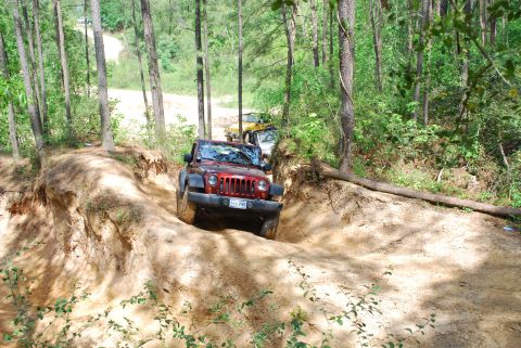 2008 Jeep Wrangler - Multiple Jeeps navigate a wooded trail during an off-road event.